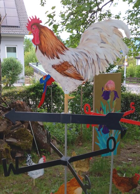 Wetterhahn weiß-braun mit Richtungspfeil und Windrose