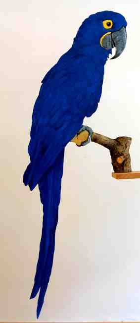 Hyazinthara-01 rechts-dekovogel-wetterfahne